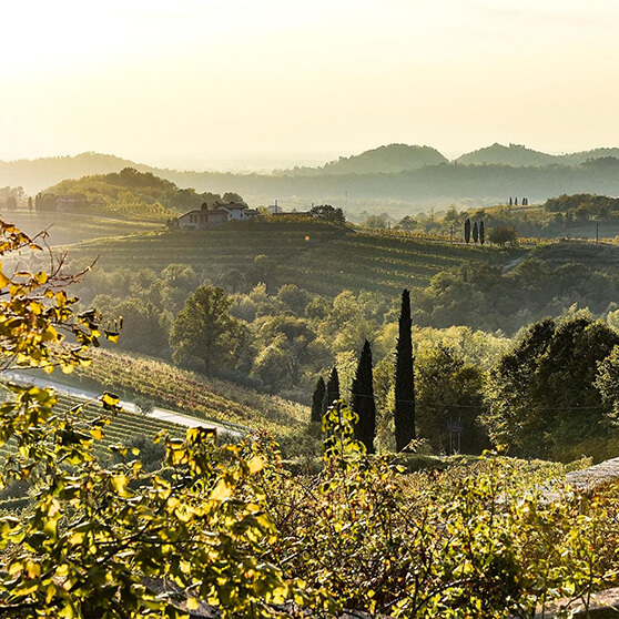 Landschaft Friuli