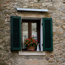 Fenster mit grünen Balken und roten Blumen