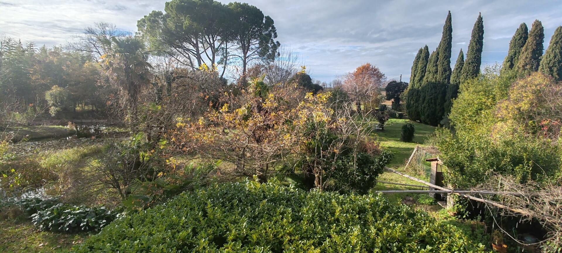 Ansicht des mediterranen Parks mit grosser Pinie und Zypressen