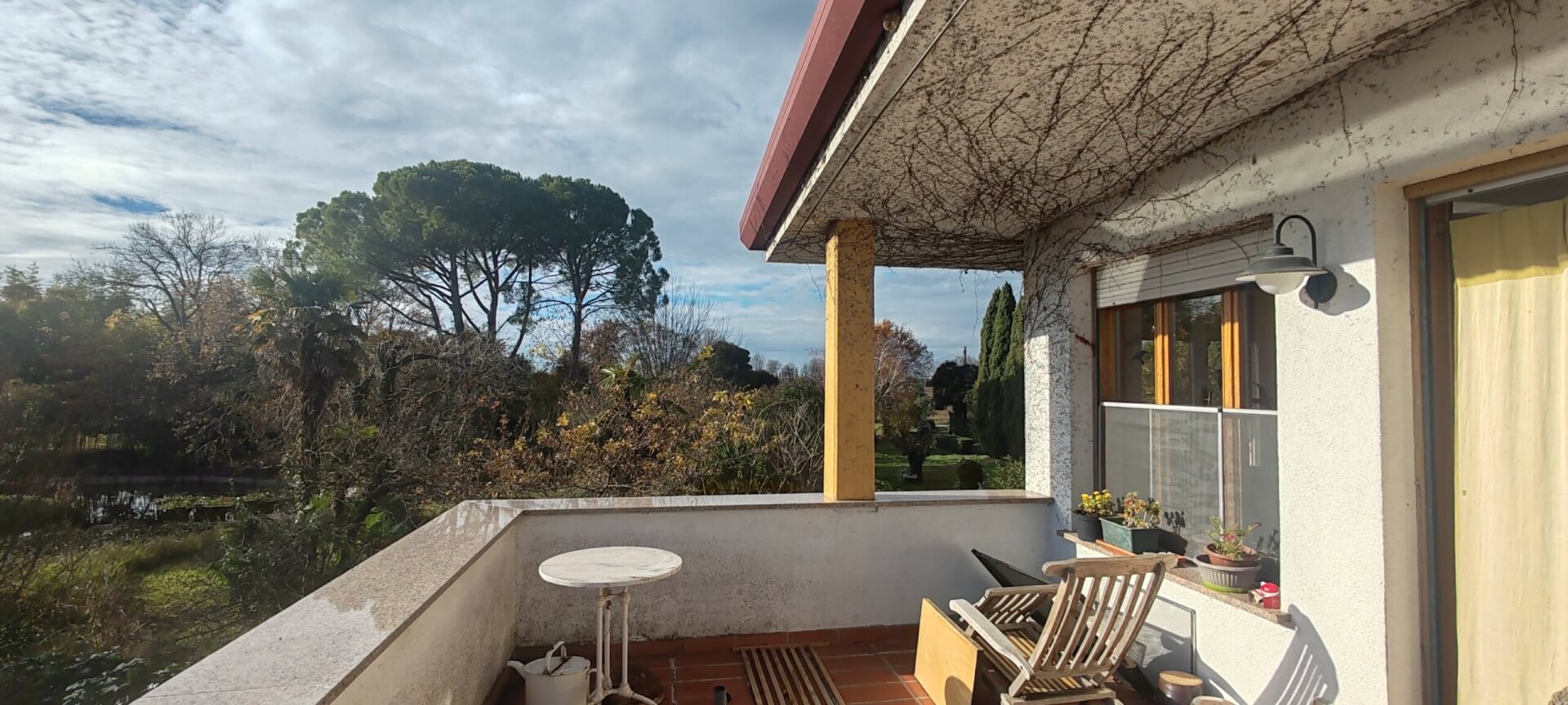 Ansicht des mediterranen Parks mit grosser Pinie und der Terrasse im 1. Obergeschoss