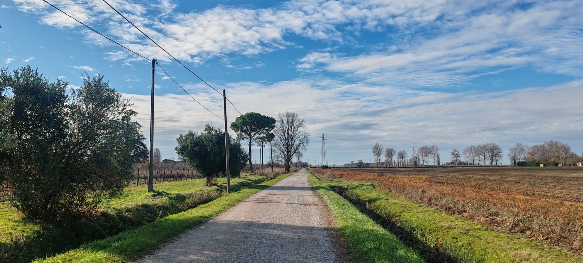 Zufahrtsstraße zum Anwesen