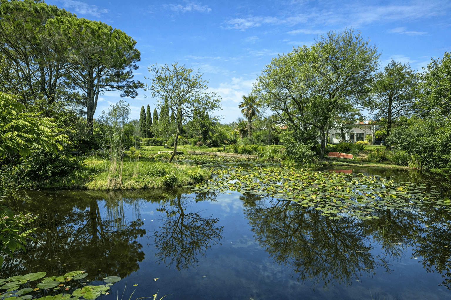 Ansicht des mediterranen Parks mit grosser Teich bzw. Pool