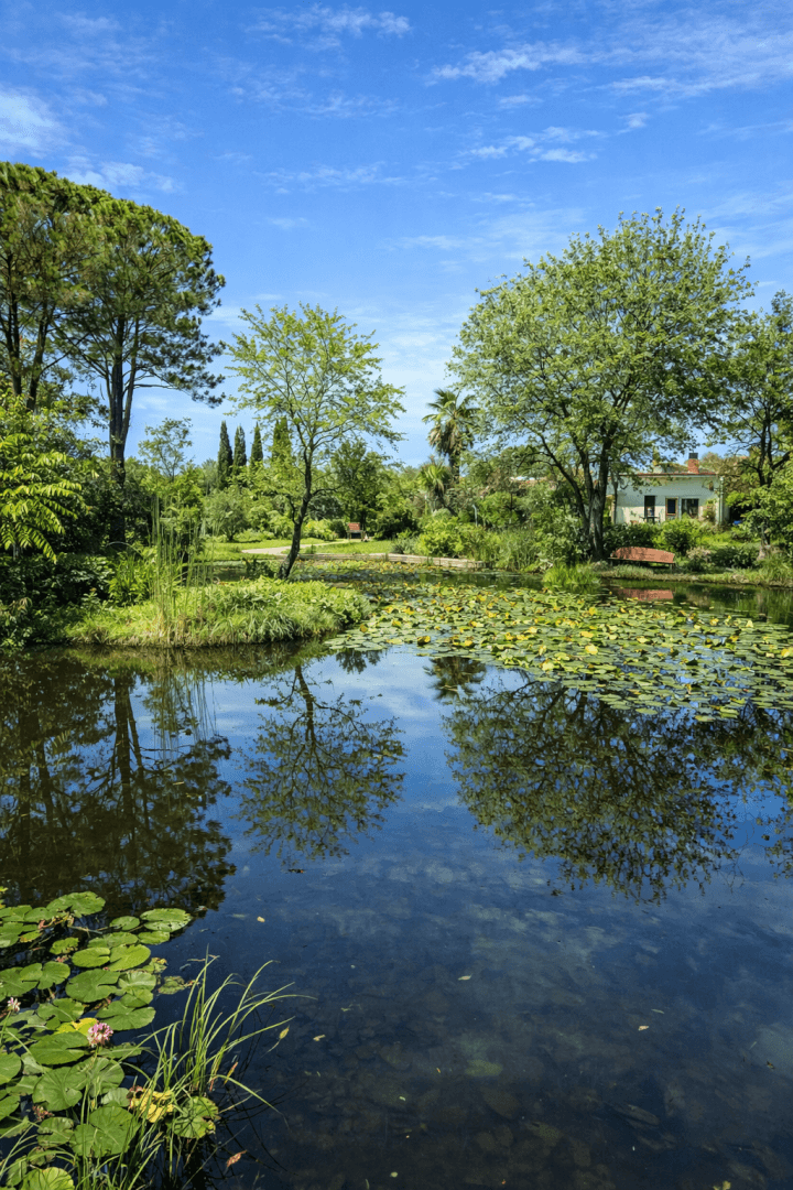 Ansicht des mediterranen Parks mit grosser Teich bzw. Pool