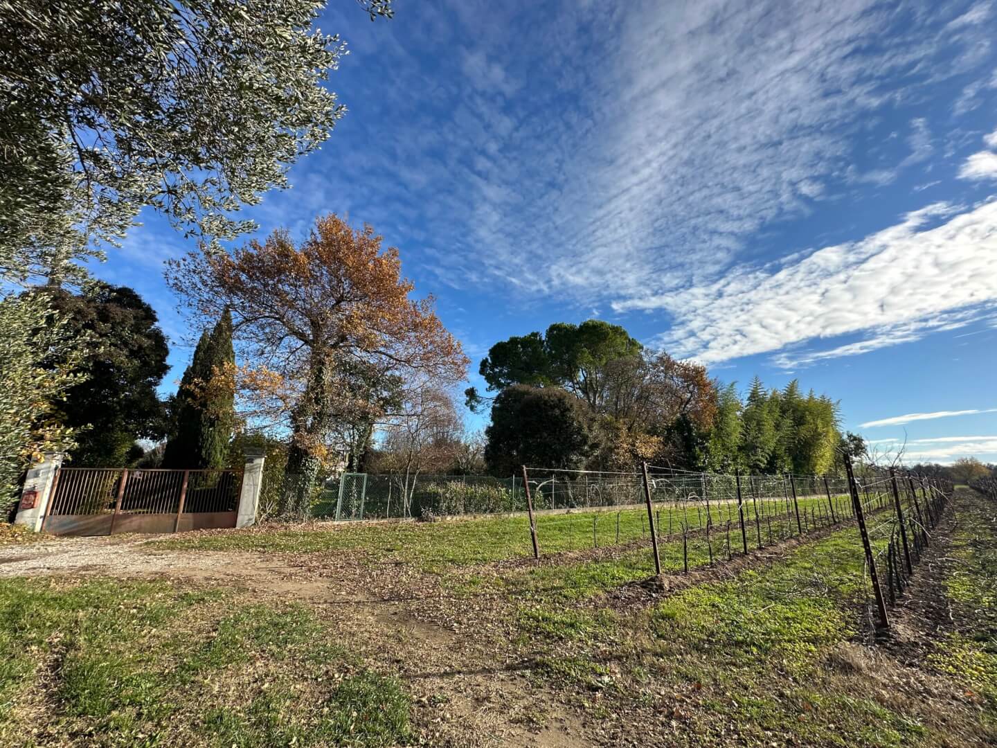 Aussenansicht des zum Verkauf stehenden Anwesens