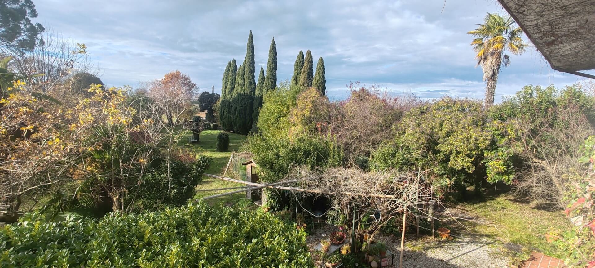 Ansicht des mediterranen Parks mit grosser Pinie und Zypressen