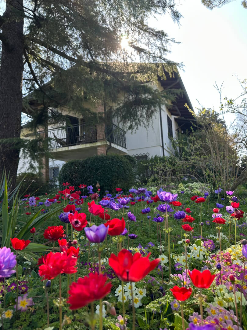 Blick in den blühenden Garten
