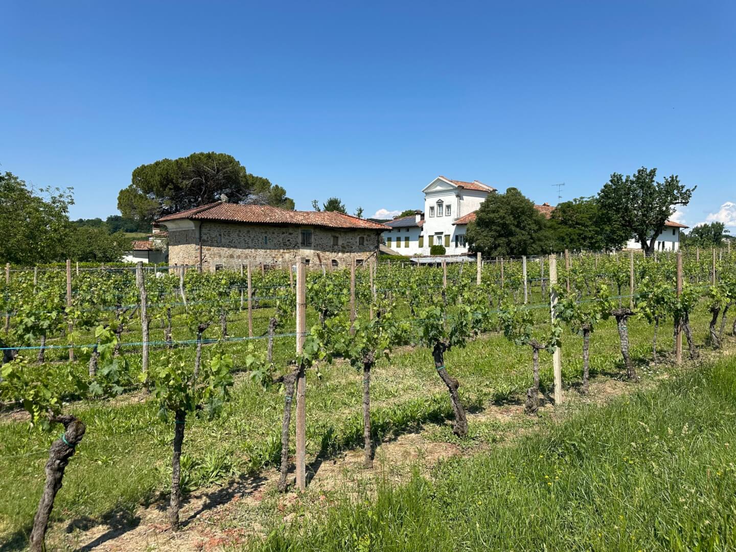 Villa e Casa agricola in sassi e vigna