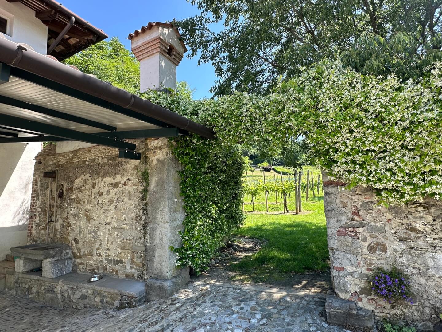 Dalla Villa verso la vigna di proprietà