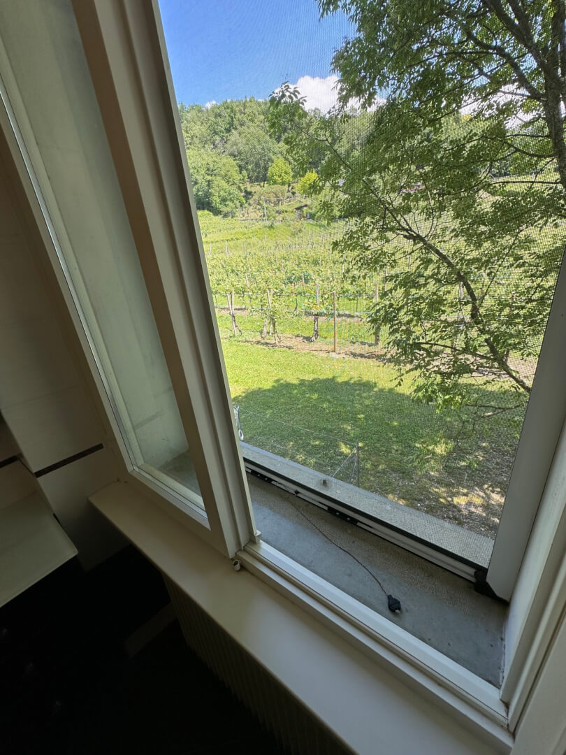 Aussicht vom 1.OG auf den eigenen Weinberg